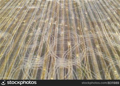 Farm field with tractor traces after harvest, views from above. Nature background.