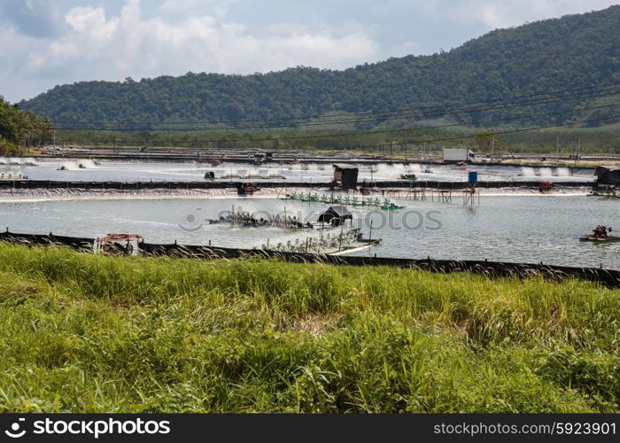 Farm for breeding lobsters on the island of Koh Chang in Thailand