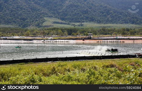 Farm for breeding lobsters on the island of Koh Chang in Thailand