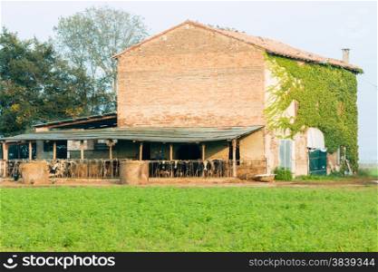 farm house with cows and round hay bales