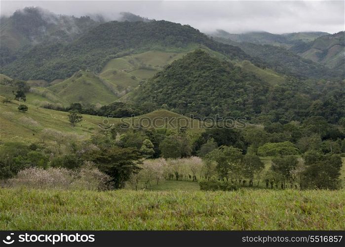 Farm in a valley, Copan, Copan Ruinas, Copan Department, Honduras
