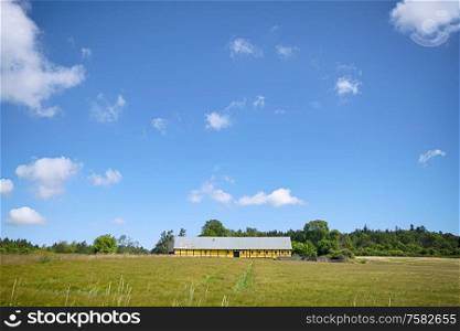 Farm in yellow colors on a green field with wheat crops in the summer