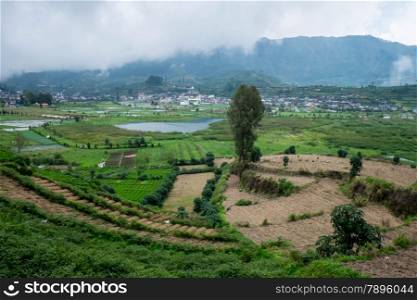 Farm land on the Dieng Plateau, Indonesia