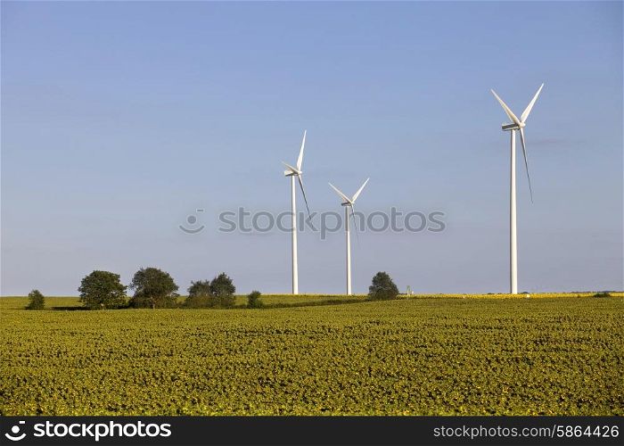 farm of windturbines in the north of France