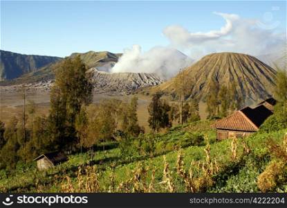 Farm on the slope of mount near volcano Bromo, Java, Indonesia