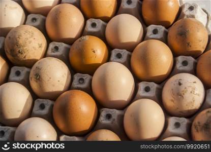 Farm organic eggs arranged in cardboard tray closeup