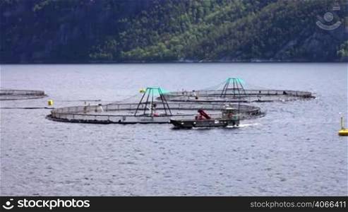 Farm salmon fishing in Norway