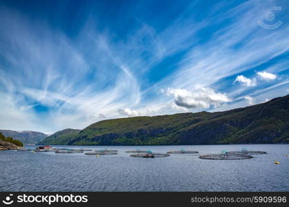 Farm salmon fishing in Norway