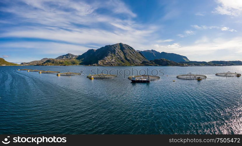 Farm salmon fishing in Norway. Norway is the biggest producer of farmed salmon in the world, with more than one million tonnes produced each year.