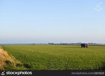 Farm wagon standing in a green field at the swedish island Oland