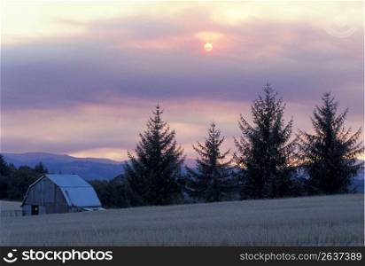 Farm, Willamette Valley, Oregon