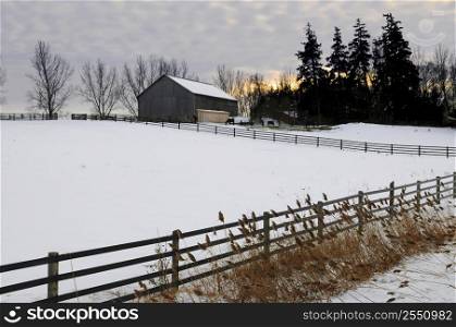 Farm with a barn and horses in winter at sunset