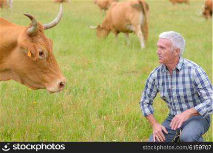 Farmer and cow