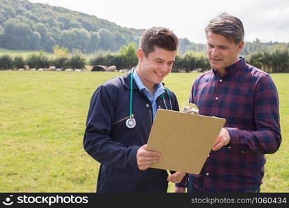 Farmer And Vet Having Discussion In Field Of Sheep