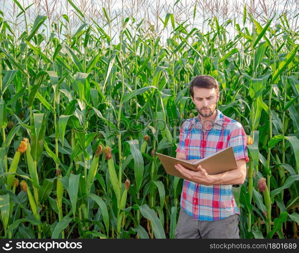 Farmer checks plants on his farm. Agribusiness concept, agricultural engineer stands in a corn field with a tablet, writes an information. Agronomist inspects crops, plants.. Farmer checks plants on his farm. Agribusiness concept, agricultural engineer stands in a corn field with a tablet, writes an information.