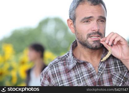 Farmer chewing a piece of grass