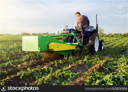 Farmer digs out a crop of potatoes with a digger. Harvest first potatoes in early spring. Farming and farmland. Harvesting mechanization in developing countries. Agro industry and agribusiness.