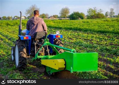 Farmer digs out a crop of potatoes with a tractor. Harvest first potatoes in early spring. Farming and farmland. Agro industry and agribusiness. Harvesting mechanization in developing countries