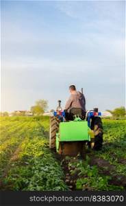 Farmer digs out of potatoes on a farm field. Harvest first potatoes in early spring. Farming and farmland. Agro industry and agribusiness. Harvesting mechanization in developing countries.
