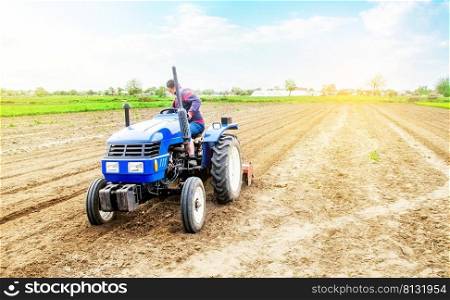 Farmer drives a tractor on a farm field. Agricultural industry. Cultivating land soil for further planting. Loosening, improving soil quality. Food production on vegetable plantations.