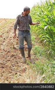 Farmer in a cornfield