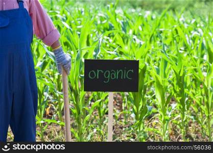 Farmer in front of the organic corn field