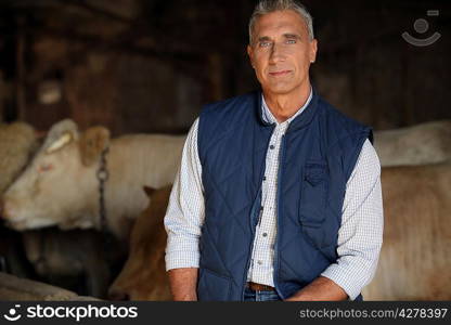 farmer in his cow farm