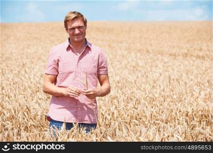 Farmer In Wheat Field Inspecting Crop