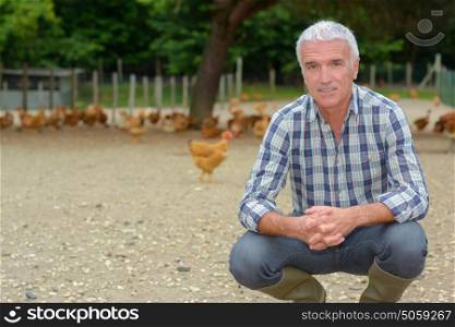 farmer inside a chicken run