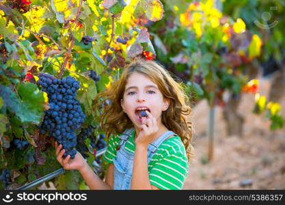 Farmer kid girl in vineyard eating grape autumn leaves in mediterranean field