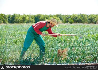Farmer man working in onion orchard field with hoe tool