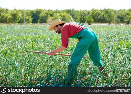 Farmer man working in onion orchard field with hoe tool