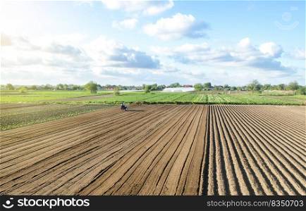 Farmer on a tractor drives on a farm field. Agriculture and agribusiness. Growing vegetables. Land market, lease of plots for sowing. Agricultural land. Revival of rural settlements, farms subsidies