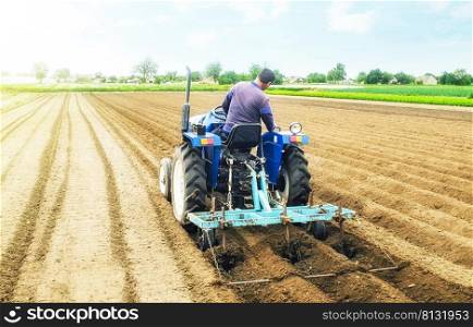 Farmer on a tractor making ridges and mounds rows on a farm field. Preparing the land for planting future crop plants. Cultivation of soil for planting. Agroindustry, agribusiness. European farmland.