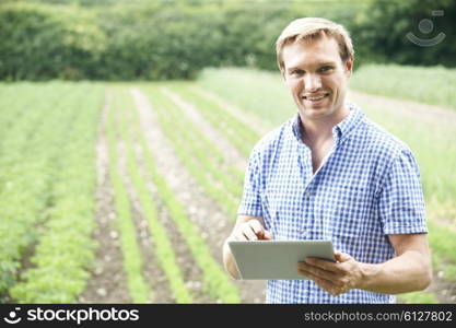 Farmer On Organic Farm Using Digital Tablet