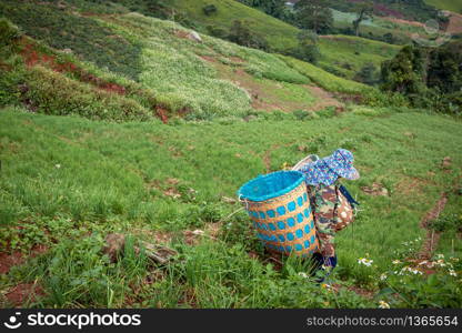 Farmer on the mountain slope Are working in their agricultural plots.