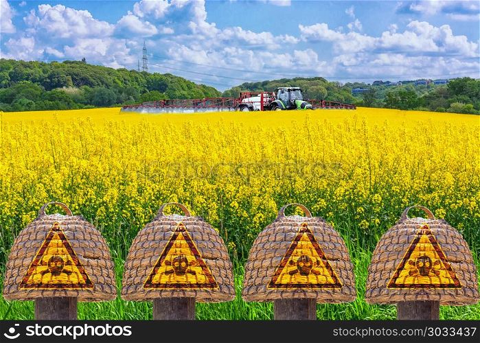 Farmer on the tractor spraying yellow Rabsfeld with pesticide. . Old hives of straw in front of a blossoming farmer and tractor with sprayer spray rape field insecticide. Symbol for insect killing environmental protection.