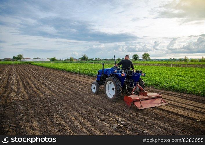 Farmer on tractor cultivates farm field. Milling soil, crumbling ground before cutting rows. Farming, agriculture. Loosening surface, land cultivation. Field work at dawn. Agribusiness, agroindustry
