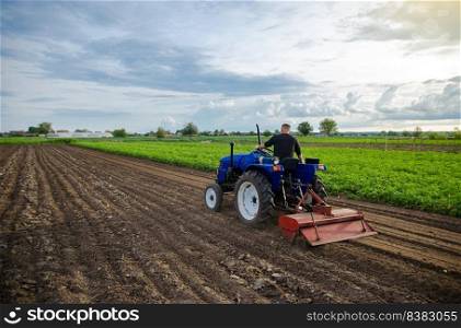 Farmer on tractor cultivates farm field. Milling soil, crumbling ground before cutting rows. Farming, agriculture. Loosening surface, land cultivation. Field work at dawn. Agribusiness, agroindustry
