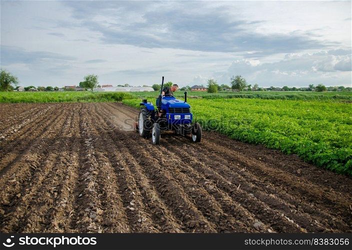 Farmer on tractor cultivates farm field. Milling soil, crushing and loosening ground before cutting rows. Use of agricultural machinery and to simplify and speed up work. Plowing field.