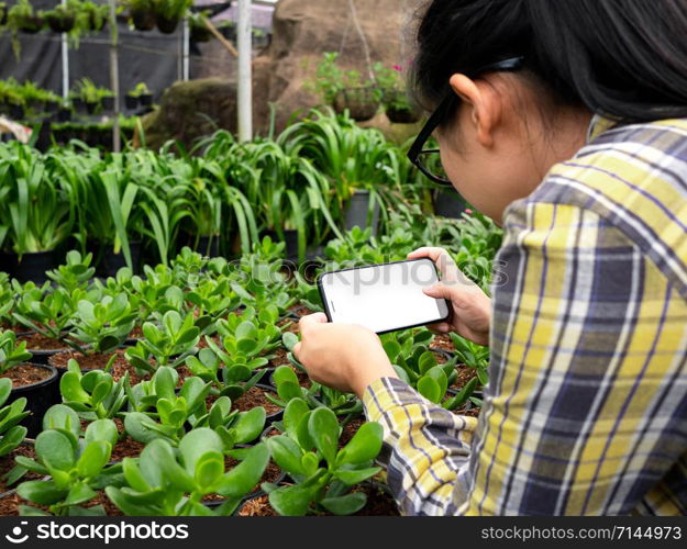 Farmer photographing seedling plants in greenhouse, using mobile phone. Technology with agriculture concept.