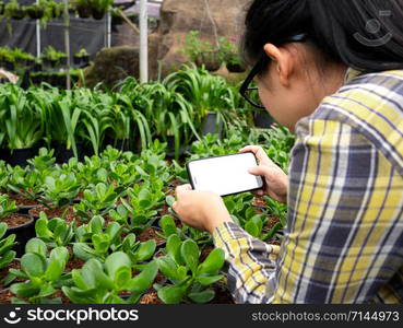 Farmer photographing seedling plants in greenhouse, using mobile phone. Technology with agriculture concept.