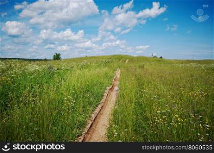 Farmer's road, Russian summer meadow.Arkhangelsk region, Russia