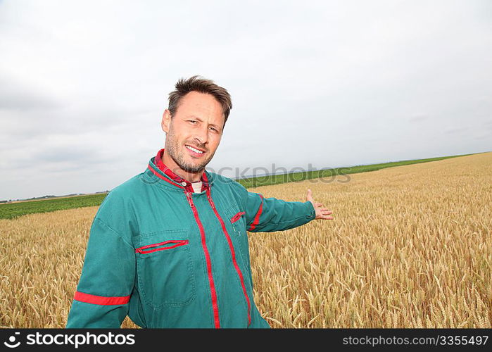 Farmer showing wheat field in spring season