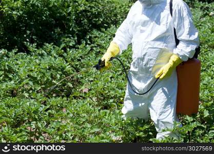 Farmer spraying pesticides. Non-organic vegetables. Pollution.