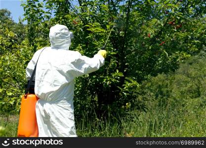Farmer spraying pesticides or herbicides in an fruit orchard