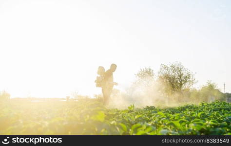 Farmer spraying plants with pesticides in the early morning. Protecting against insect and fungal infections. Agriculture and agribusiness, agricultural industry. The use of chemicals in agriculture.