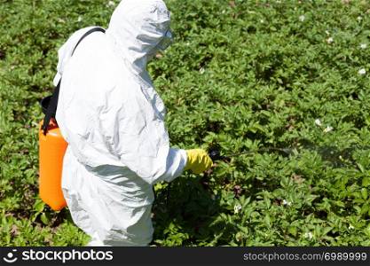 Farmer spraying toxic pesticide or insecticide in the vegetable garden