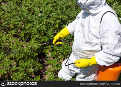 Farmer spraying toxic pesticides in the vegetable garden. Non-organic