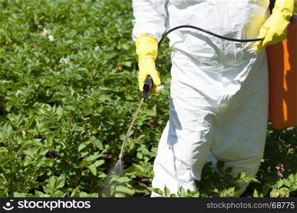 Farmer spraying toxic pesticides in the vegetable garden. Non-organic food.